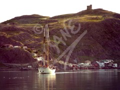 St. John's, the Battery & Signal Hill